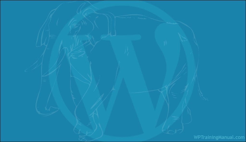 WordPress End-User Training - The Invisible Elephant In The Room